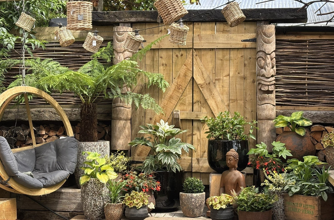Planted containers and swing chair in exotic style garden