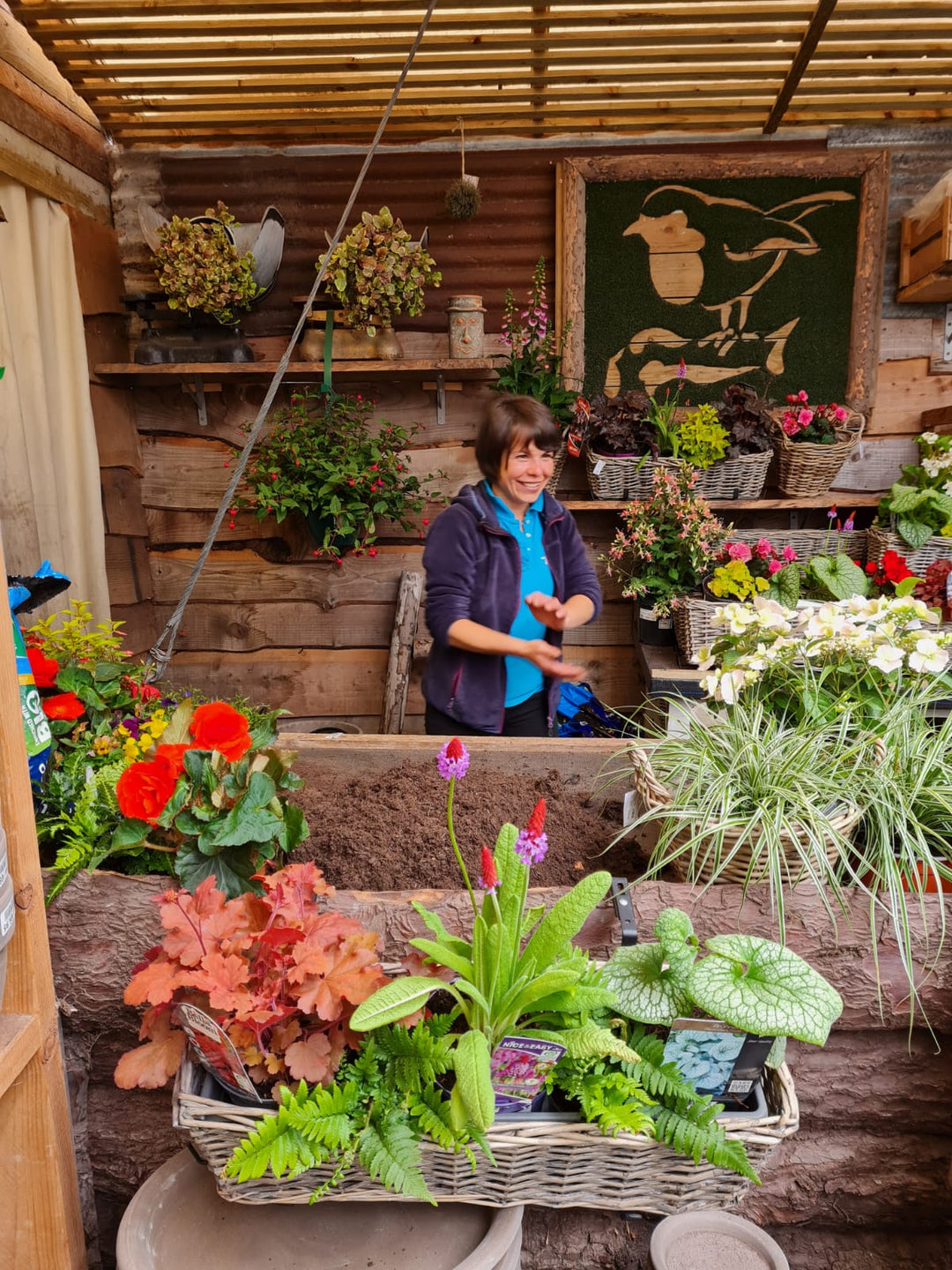 Seasonal pots for shade - The Summer Edition