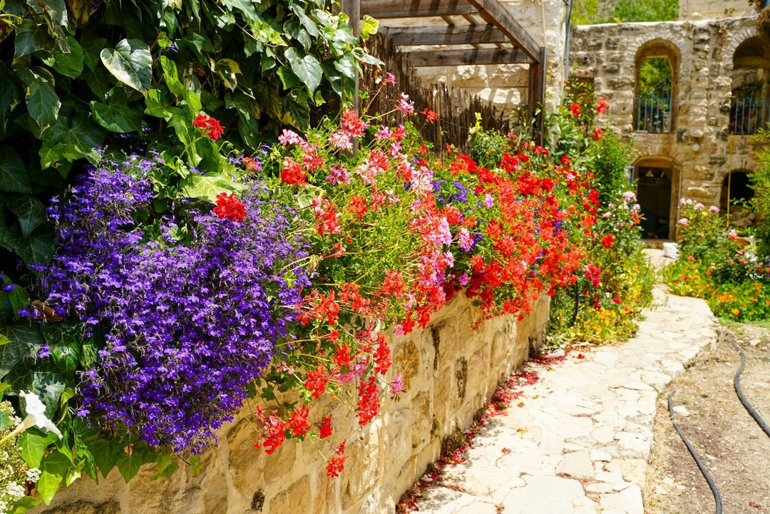 The Mediterranean Garden: An Ode to Sunshine and Relaxation
