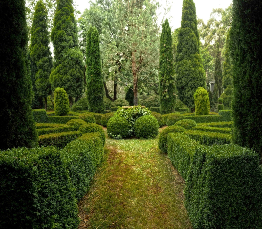 Photo by Michael on Unsplash