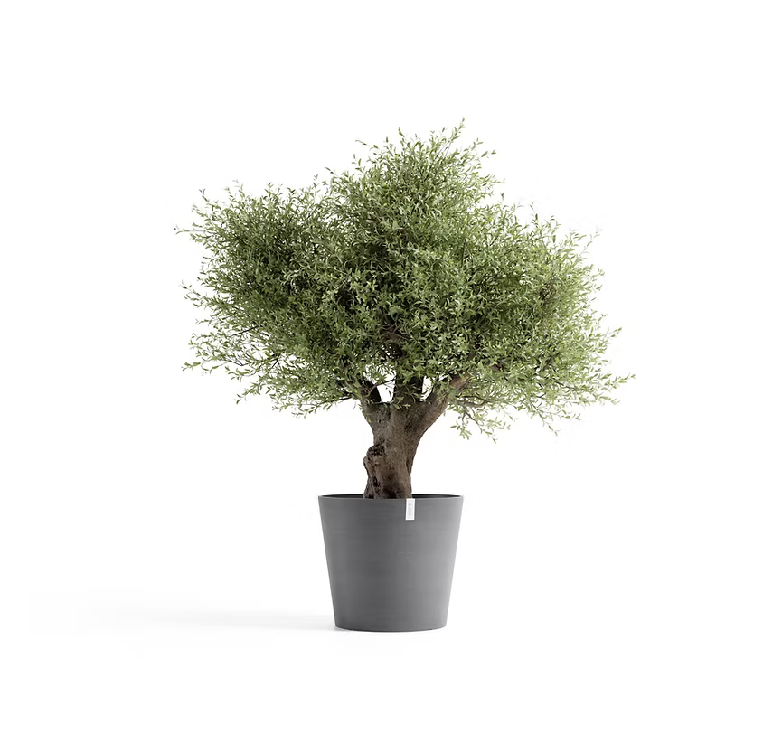 Ecopots Collection