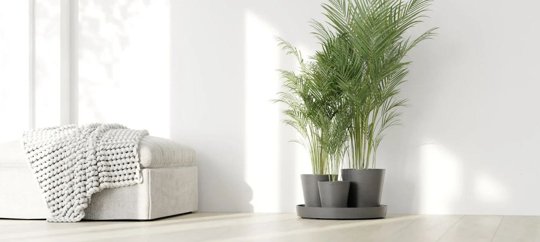 Eco Pot Collection