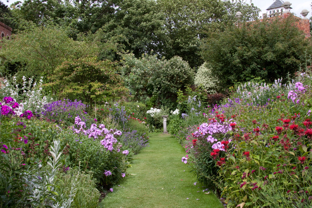 Cottage Garden Plants