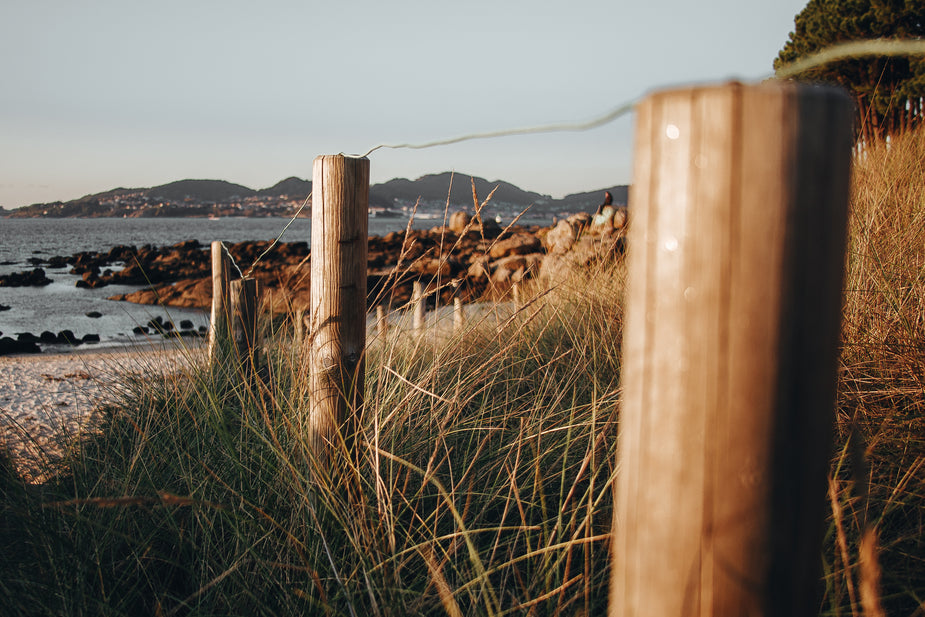 Posts