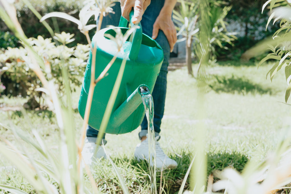 Watering