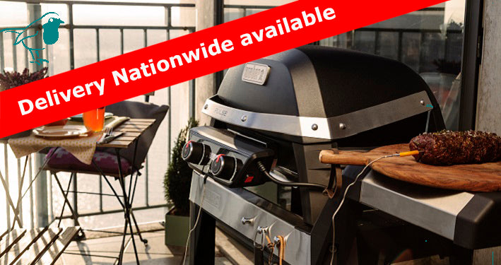 Weber Electric BBQ