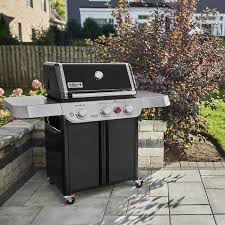 Weber BBQ