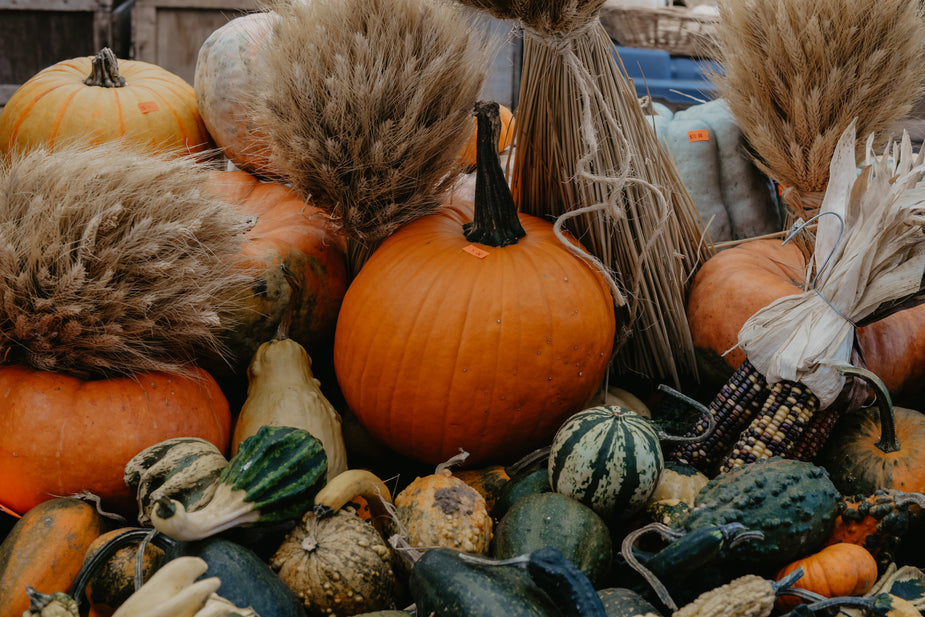 Autumn Decorations