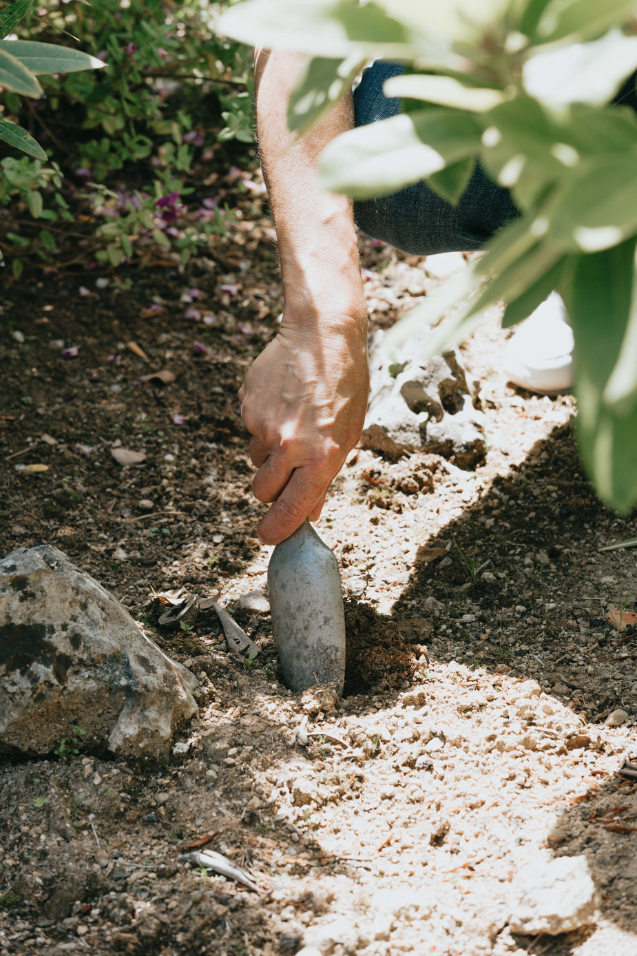 Gardening Courses – Windyridge Garden Centre