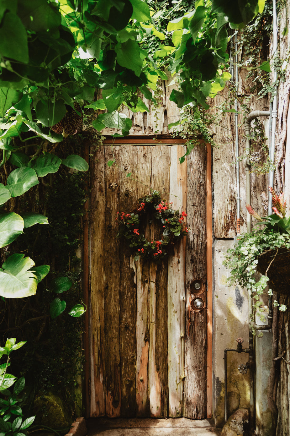 Christmas Courses – Windyridge Garden Centre