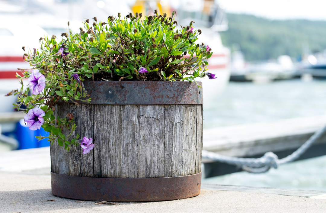 Wooden Barrels