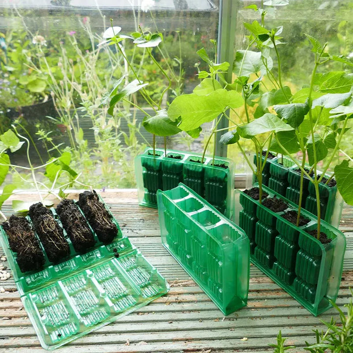 Gro-Sure Visiroot 4 Cell Deep Tray Kit - Tools & Equipment - Windyridge Garden Centre