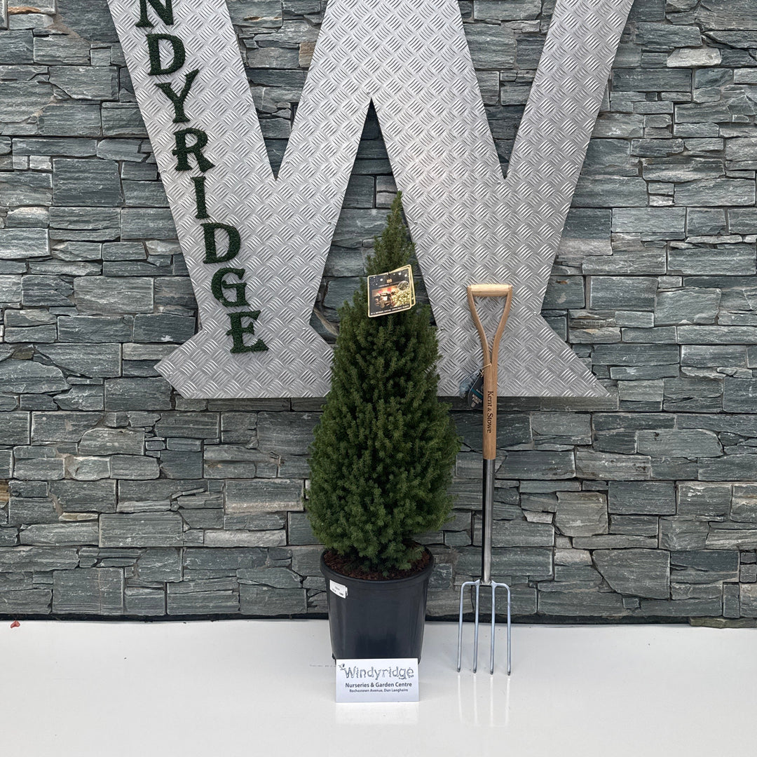 Decorative stone wall with large letter 'W' and 'INDYRIDGE' text, featuring a plant and 'Like Us' sign.