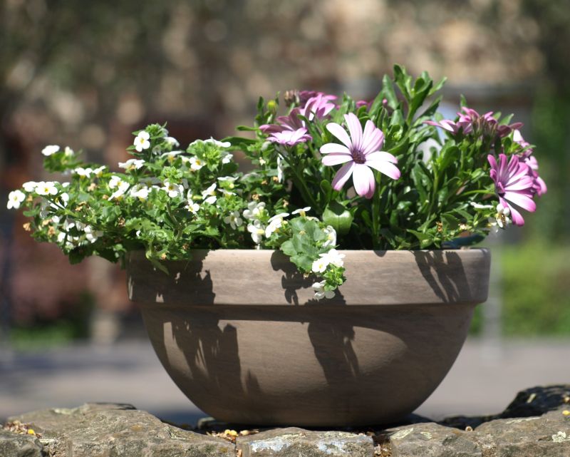 Basalt Bowl Levy Pot Ø26cm H12.5cm