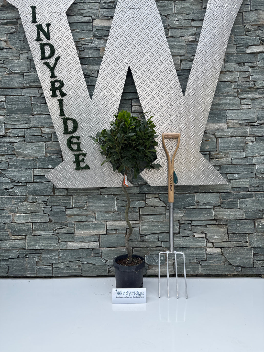 Bay Standard 1/2 Spiral Stem 35/40 Dia. pot 20cm