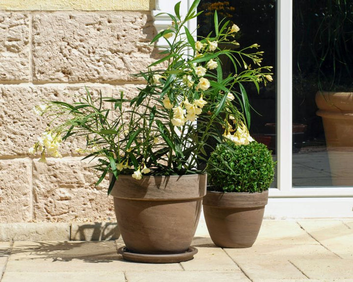 Basalt Pot Levante Ø21cm H18cm