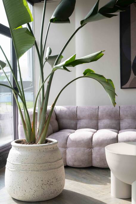 Hestia L, Chalk White  Ø46Cm - Pots - Windyridge Garden Centre
