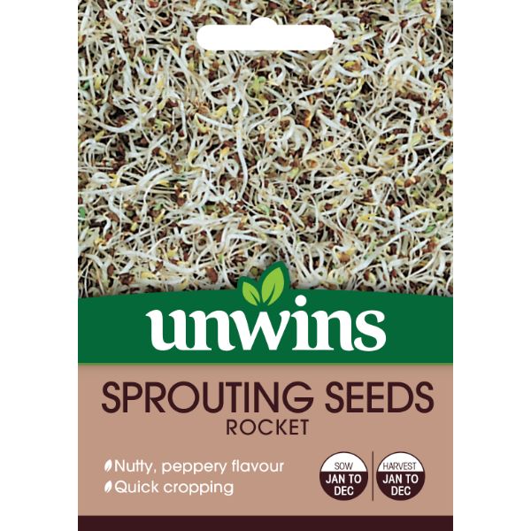 Sprouting Seeds Rocket - Seed Packets - Windyridge Garden Centre