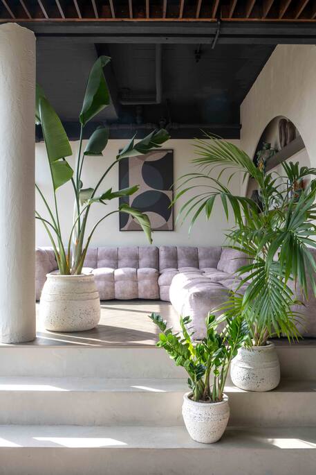 Athena S, Chalk White  Ø24Cm - Pots - Windyridge Garden Centre