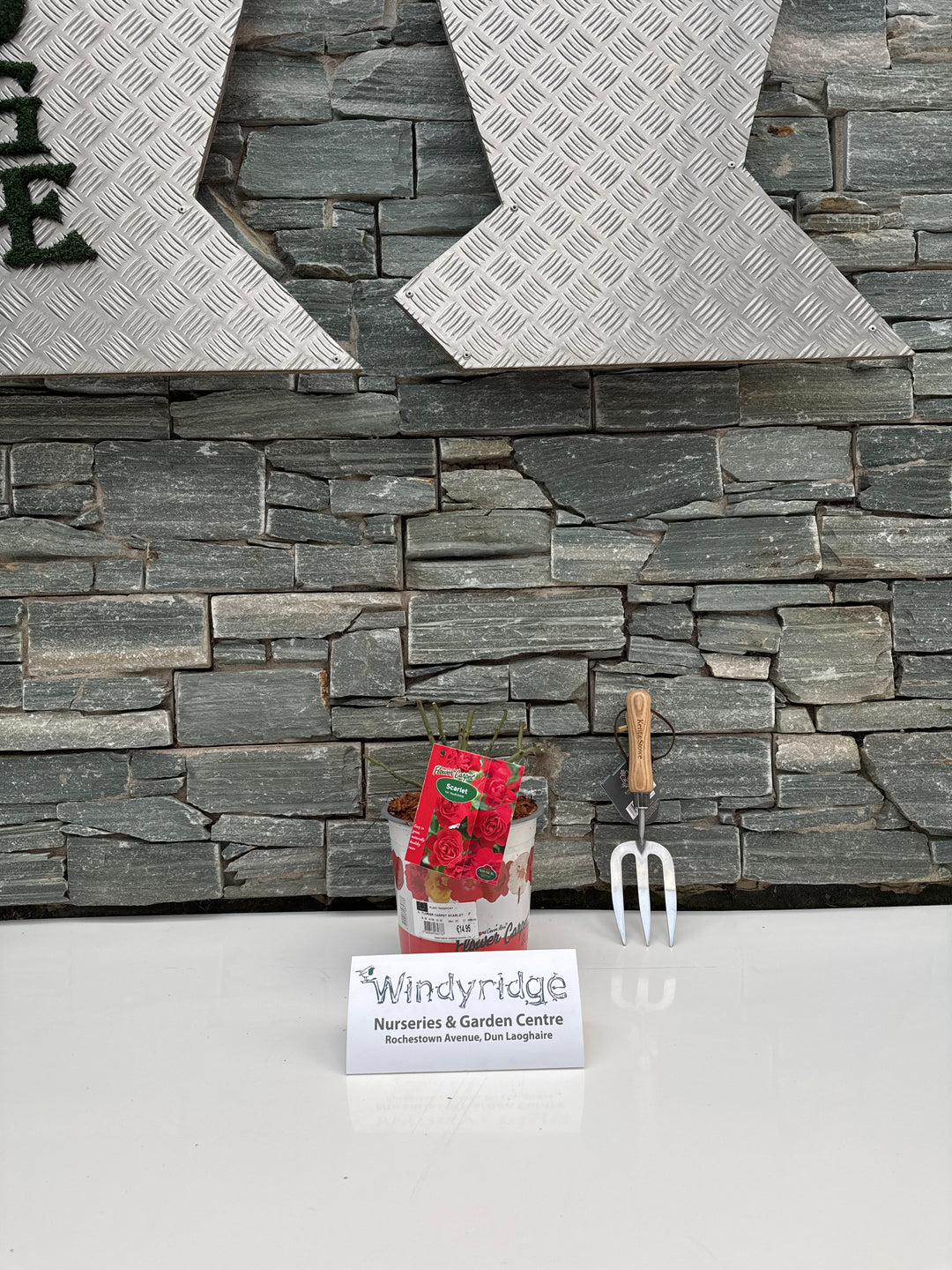 FLOWER CARPET SCARLET