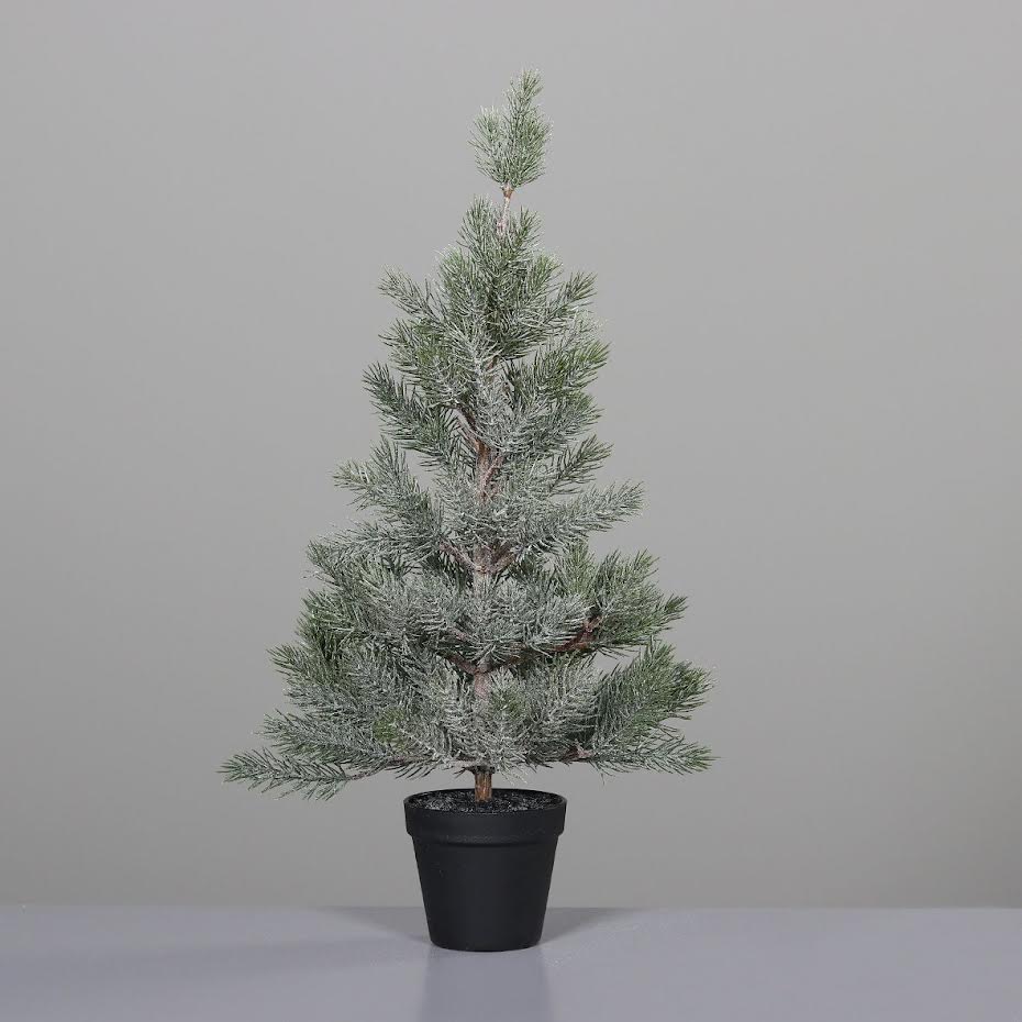 Pine tree iced in (black plastic pot 65 cm)