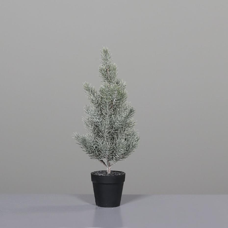 Pine Tree Iced In (Black Plastic Pot 52 Cm) - Christmas - Windyridge Garden Centre