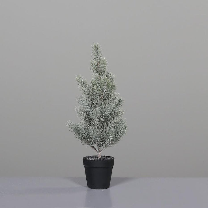 Pine Tree Iced In (Black Plastic Pot 52 Cm) - Christmas - Windyridge Garden Centre