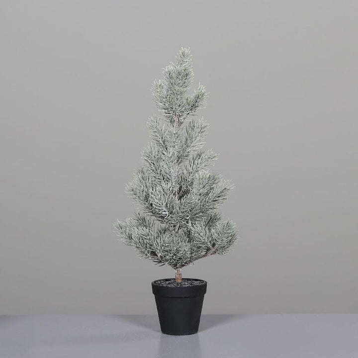 Pine Tree Iced In (Black Plastic Pot 58 Cm) - Christmas - Windyridge Garden Centre