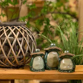 Frog, Ceramic, Green - Home & Living - Windyridge Garden Centre