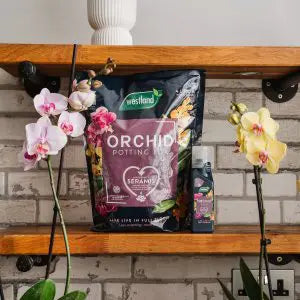 Orchid Potting Mix (Enriched with Seramis) 4L