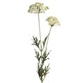Queen Anne Lace 74cm