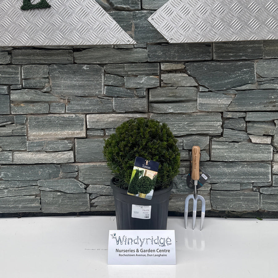 Decorative stone wall with a plant and tools on a white background