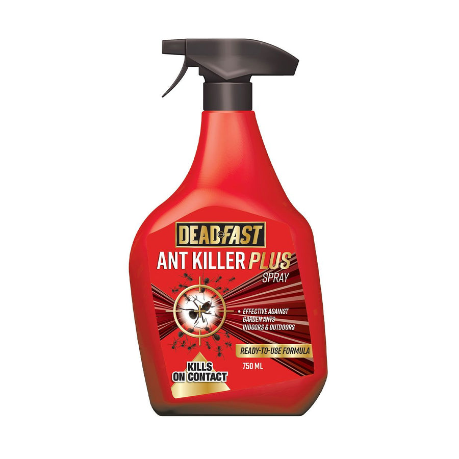 Deadfast Ant Killer Plus Spray 750Ml - Ferts And Chemicals - Windyridge Garden Centre