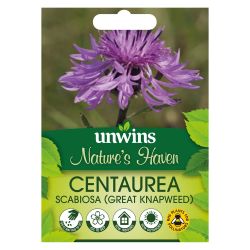 Nh Great Knapweedflower - New 2023 - Seed Packets - Windyridge Garden Centre
