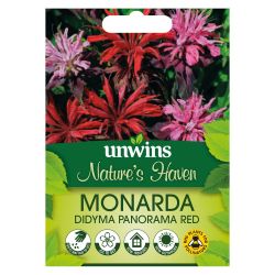 Nh Monarda Didyma Red Shades Panorama Red - Seed Packets - Windyridge Garden Centre