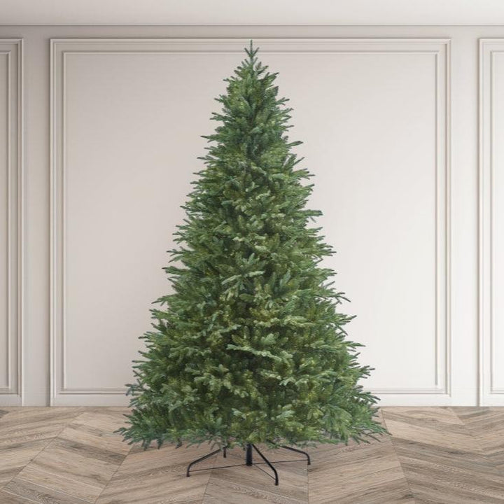 RIVINGTON FIR - 6.5ft Tree
