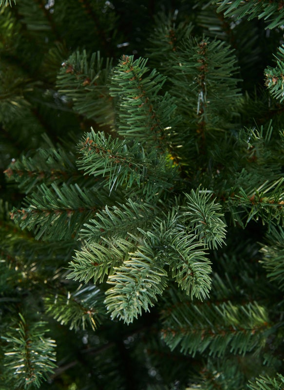 MERRIVALE FIR - 6.5ft Tree