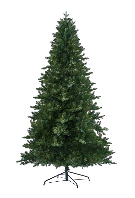 MERRIVALE FIR - 6.5ft Tree