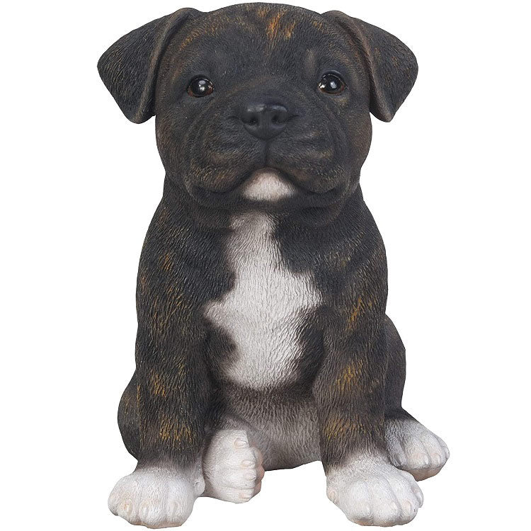 PP Staffordshire Puppy Brindle F