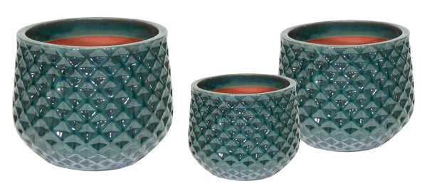 Portly Cld Wyber D.Green Ø18 H14.5 - Pots - Windyridge Garden Centre