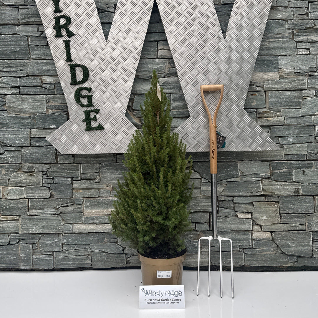 Decorative metal letters spelling 'WINDYRIDGE' on a stone wall with gardening tools and a plant.