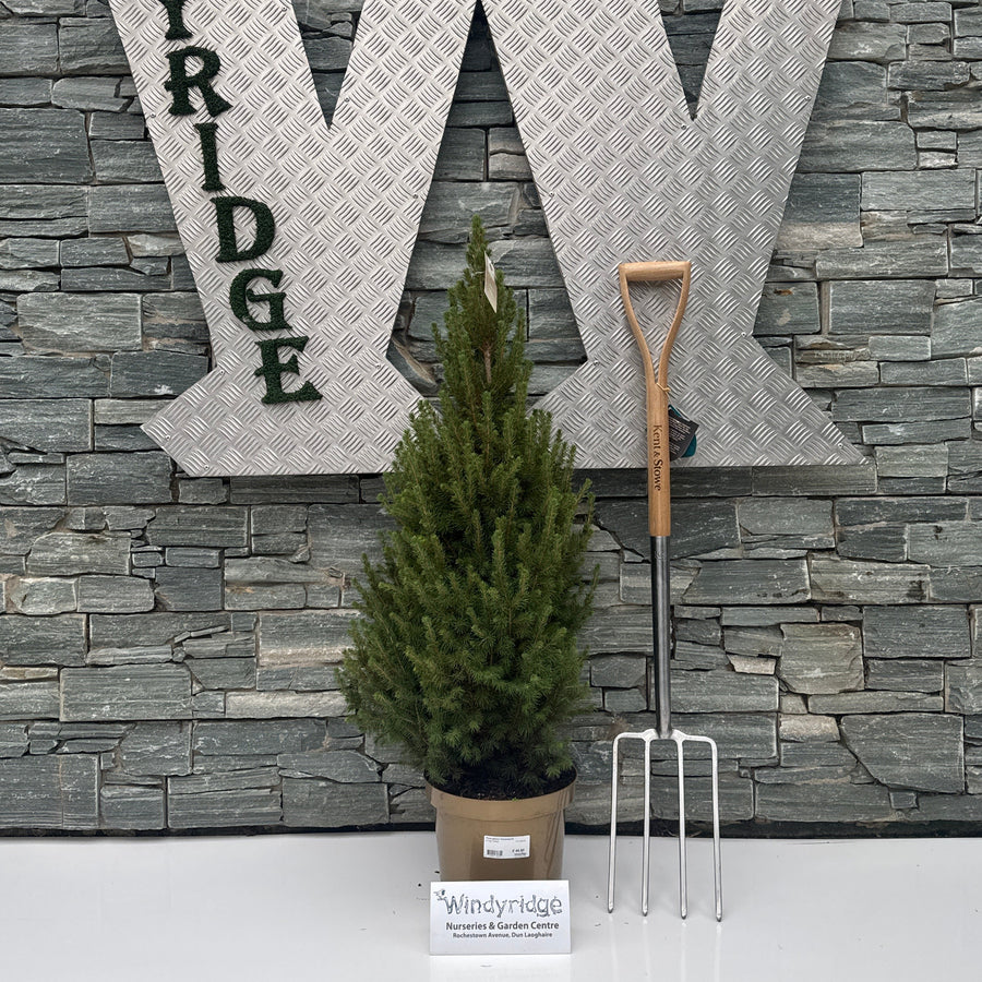 Decorative metal letters spelling 'WINDYRIDGE' on a stone wall with gardening tools and a plant.