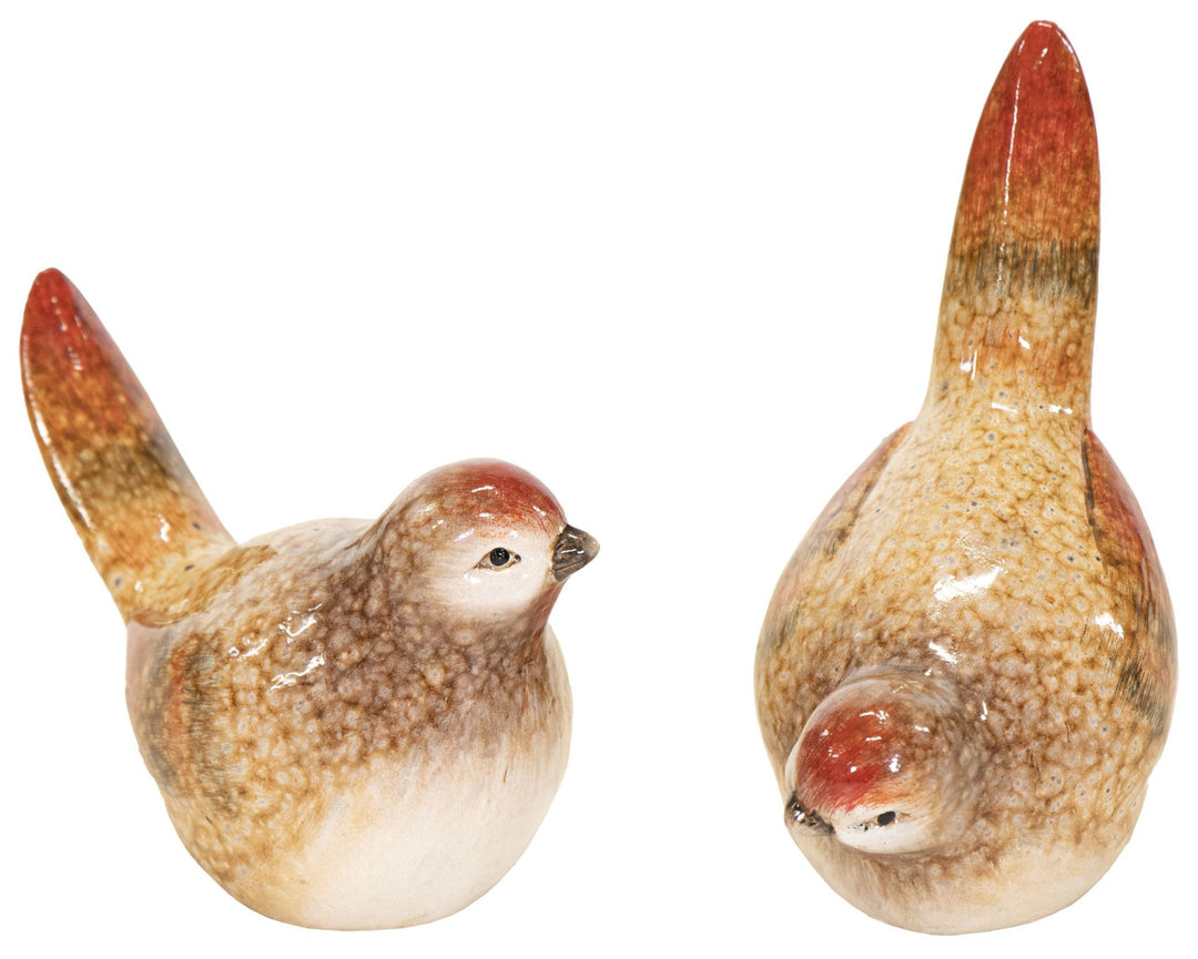 Imagine Bird Decor Assorted L13 W7 H13 - Pots - Windyridge Garden Centre