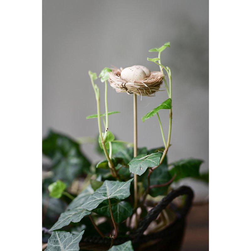 Birds Nest Nature 2+23Cm - Easter - Windyridge Garden Centre