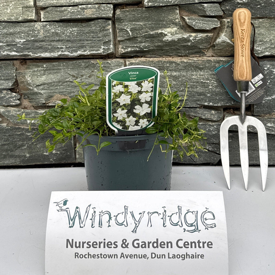 Decorative stone wall with a potted plant and gardening tools against a white background.