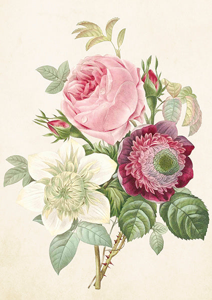 Greeting Cards With Envelopes - 12X17 Cm - Three Roses Species - Gift Shop - Windyridge Garden Centre