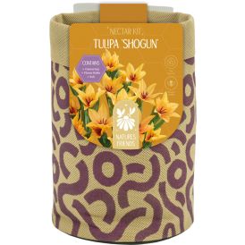 HANGING KIT LARGE TULIP SHOGUN x5