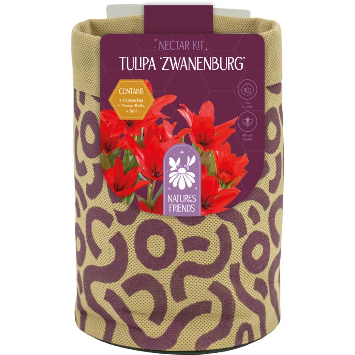 HANGING KIT LARGE TULIP ZWANENBURG x5