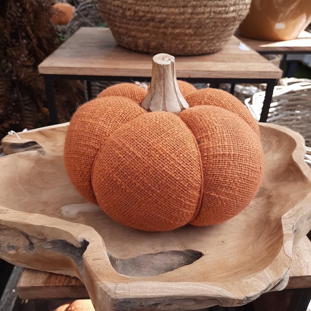 Pumpkin Gautal Orange Medium - Autumn Decorations - Windyridge Garden Centre