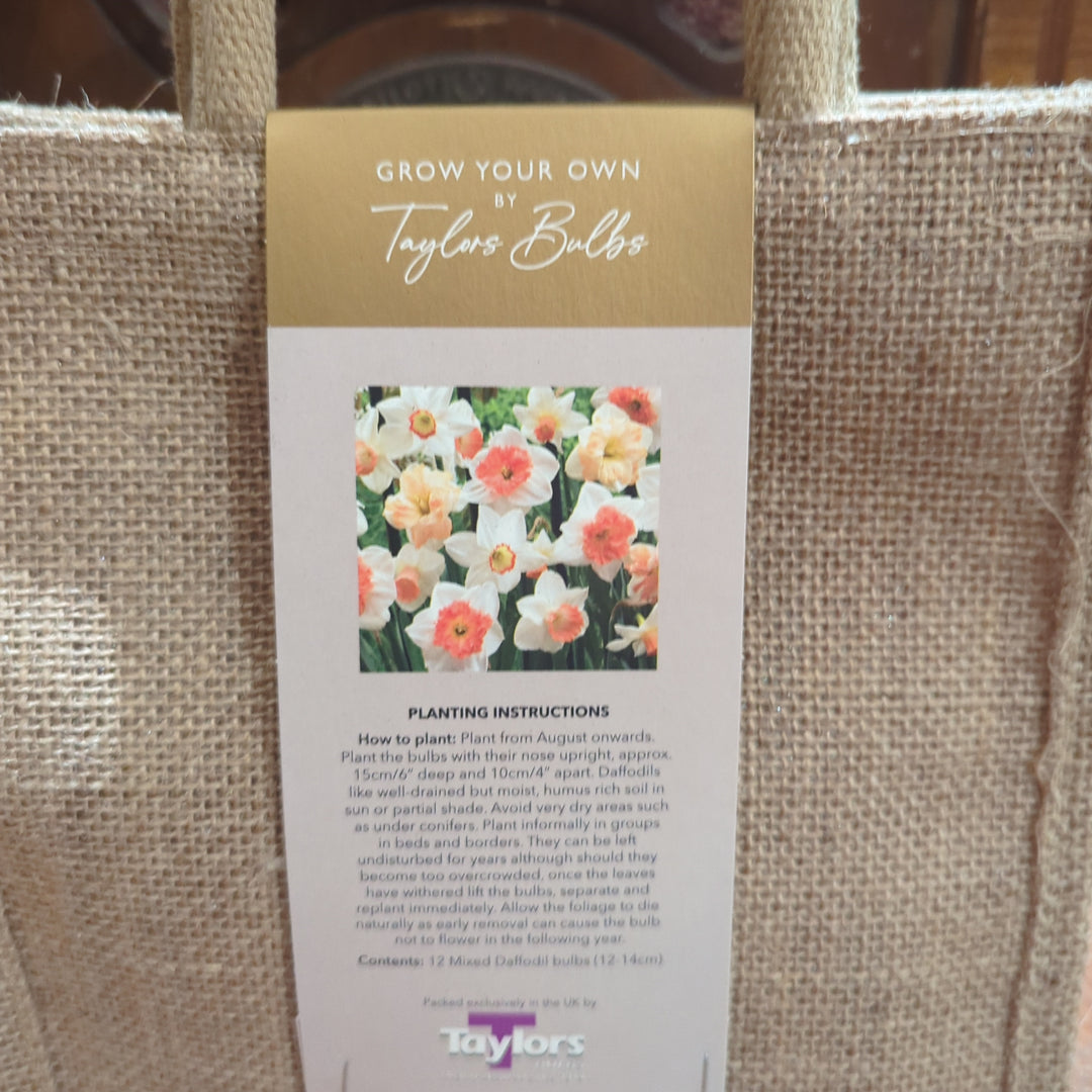 DAFFODIL JUTE GIFT BAG 12